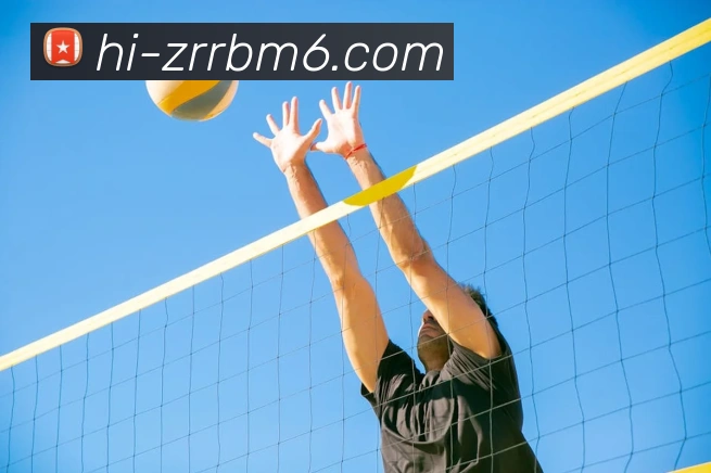 米乐m6服务体系